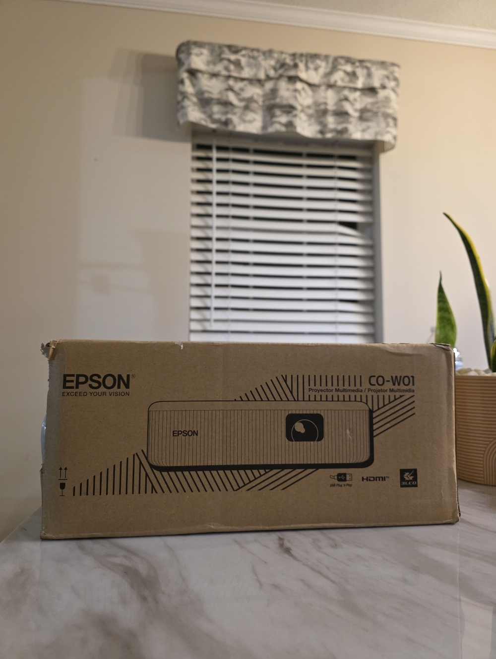 Epson Multimedia Projector CO-W01